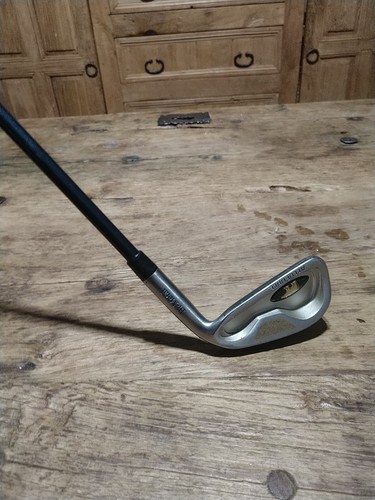 Golden bear ladies iron rh - bear, 5