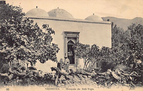Algérie nedroma mosquée - nedroma,