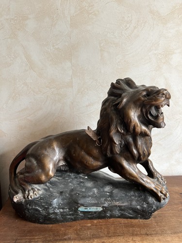 Lion blessé lina - lion,