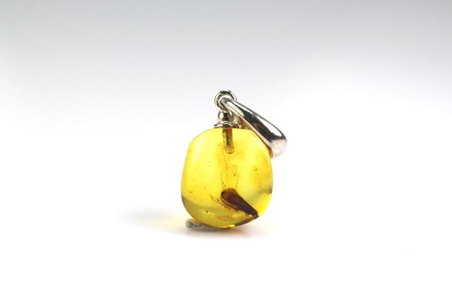 Pendentif ambre la - en,