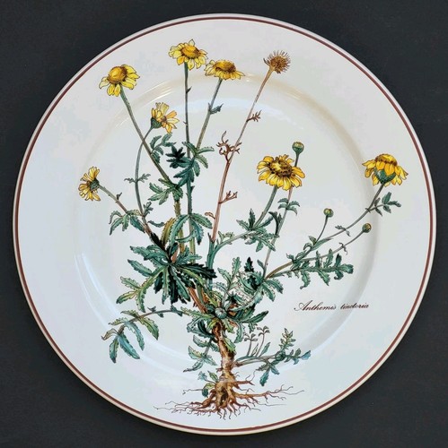 Sublime assiette plate signée - plate,
