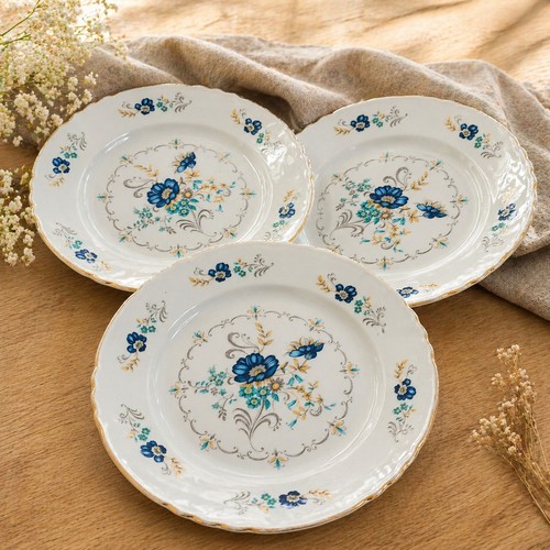 Lot assiettes moulin des - lot,