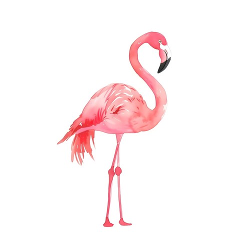 Affiche aquarelle flamant rose - flamant,