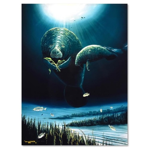 Wyland épargner the - Épargner, lamantins
