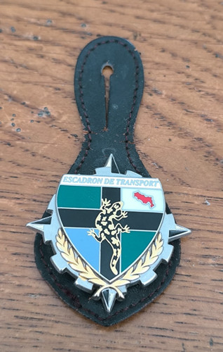 Insigne escadron transport - insigne,