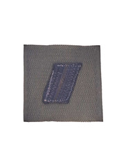 015138 galon de poitrine brigadier