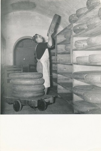 Ruth photographie fromage - r.,