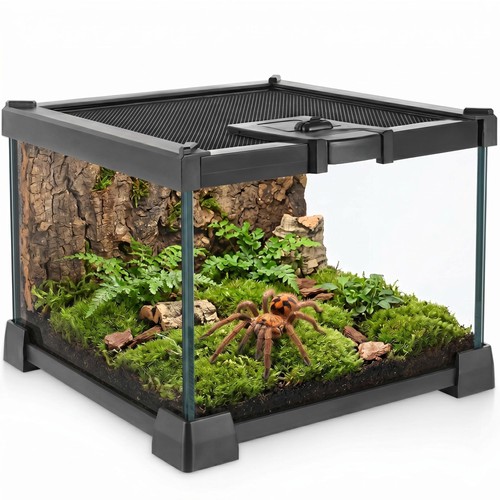 Mini Reptile Glass Terrarium