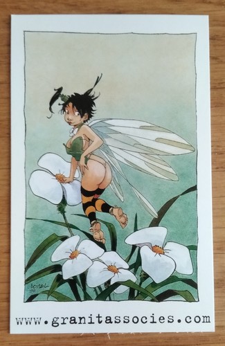 Carte loisel peter pan - ,,
