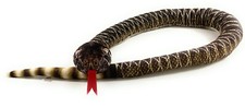 Crotale Serpent Animal 150cm