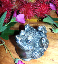 GRENOUILLE DE COLLECTION EN