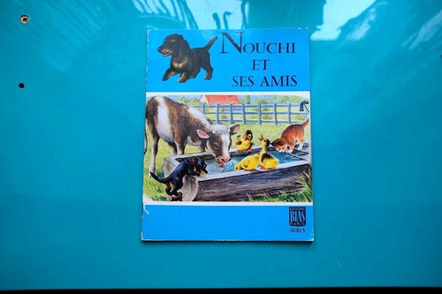 Nouchi ses amis - ses,