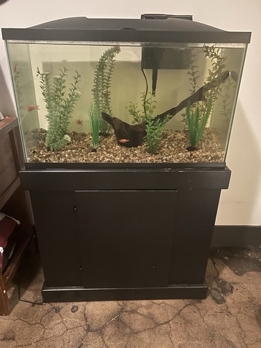 Gallon aquarium with - gallon,