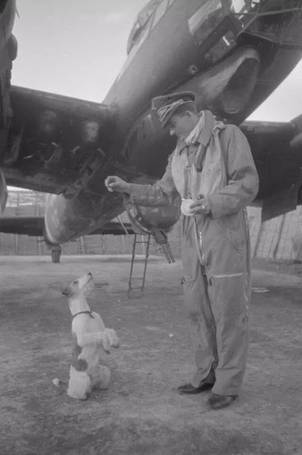 Pilote luftwaffe normandie - normandie, fw