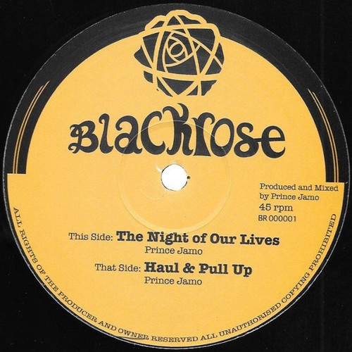 Prince jamo the night - prince,