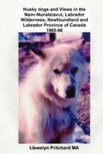 Husky dogs and views - and, in