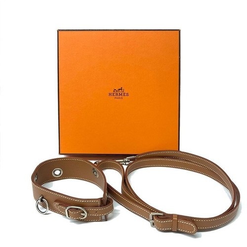 Ensemble collier pour - , chien