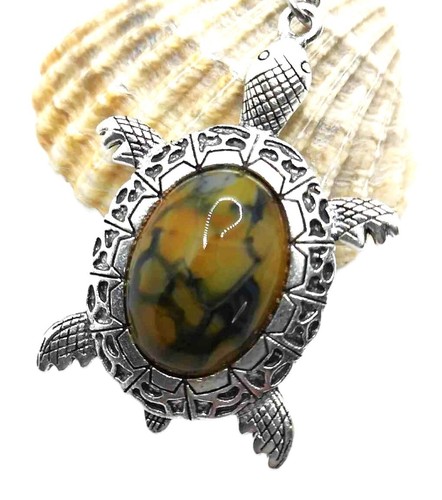 Tortue carapace agate veine - carapace, de