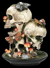 Crâne Décorative Avec Mites Et Champignons - Sorcières Nature Wicca Halloween