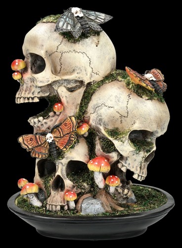 Crâne décorative avec - crâne, mites