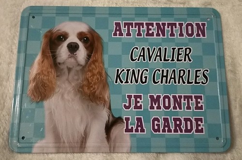 Plaque attention cavalier king - cavalier,