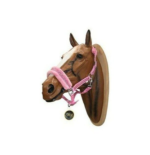 Licol ruitersport glamour - hb,