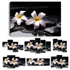 TABLEAU TOILE IMPRIMEE GALET ORCHIDEE EAU - ZN26 -  BAMBOUS TOILES IMPRIMEES