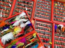 Mouches de Pêche Fourni Dans Rigide en Boite - Sélectionner Type Et Numéro