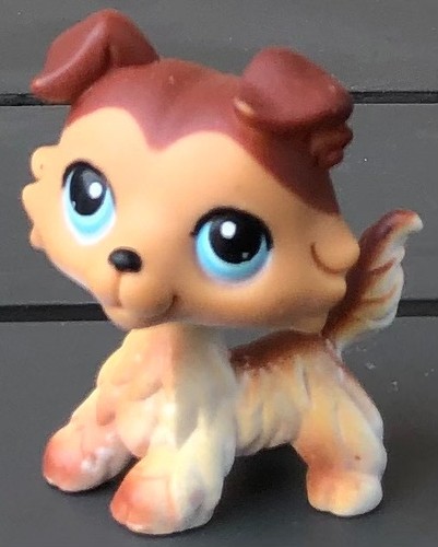 Figurine petshop hasbro 2007 - petshop,