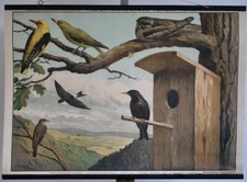 VINTAGE | CARTE MURALE