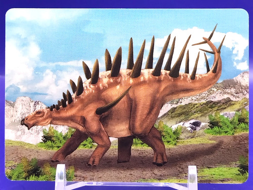 Cartes kentrosaurus - cartes, /