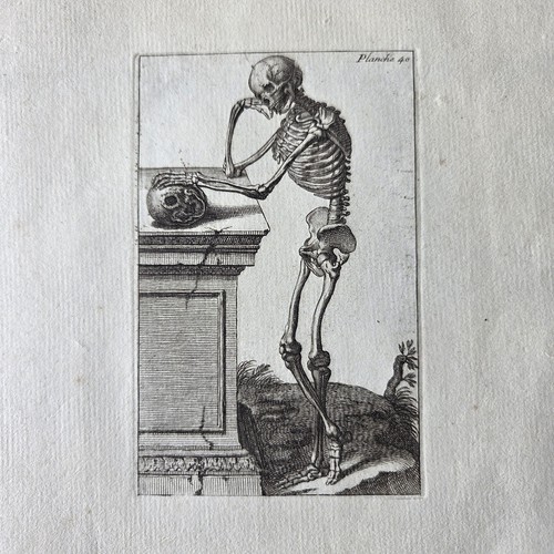 Gravure 1740 squelette - gravure,