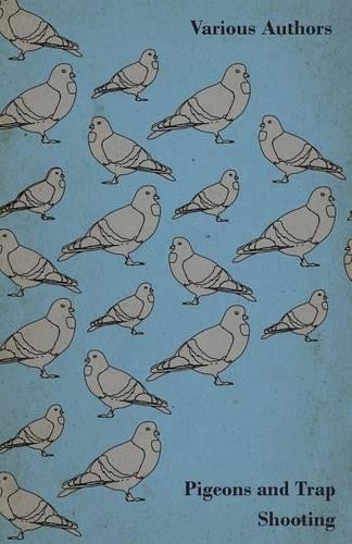 Various pigeons and trap - and,
