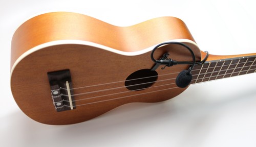 The feather resonator ukulele - resonator,