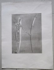 Estampe Gravure HOMME NU Justifiée 5/10 Sujet 30x40 Signée à Identifier