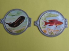 *Vignettes Vitho les merveilles sous marines, les hublots 42,44, 2 photos