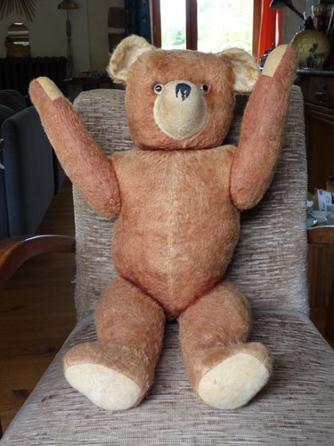 Grand ours peluche - en,