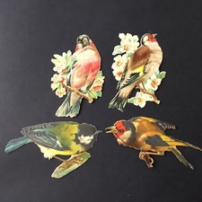 4 Chromos XIXè Découpis Anciens Oiseaux Louit Victorian Scrap Oblaten Glanzbild