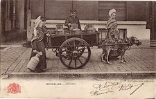 CPA - BELGIQUE - Bruxelles - Attelage de chiens - Laitières.