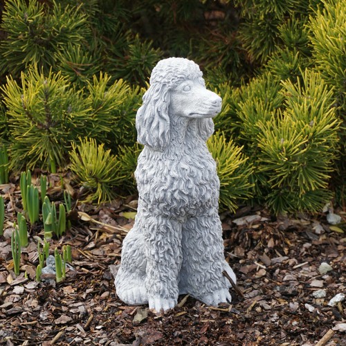 Caniche chien figurine - , en