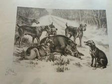 L59-CHASSE - OBERTHUR: Litho