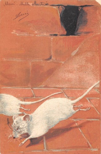Cpa fantaisie souris blanche - cpa, /