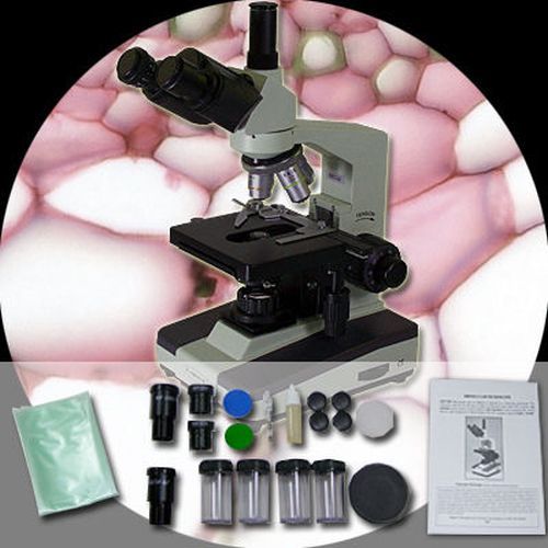 Microscope trinoculaire - microscope,