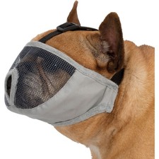 Muselière pour les races de