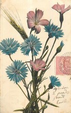 CP BOUQUET FLEURS EPI BLE -