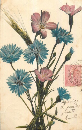 Bouquet fleurs epi ble - bouquet,