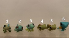 Petshop Lézard, Grenouilles