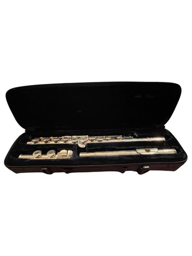 Trevor james 10xe flute silver - flute,