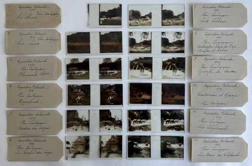Ancien plaque photo verre