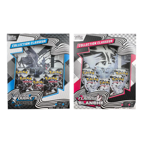 Pokémon 2x coffret - pokémon,